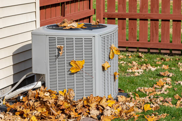 Best Affordable HVAC Services  in Thief River Falls, MN
